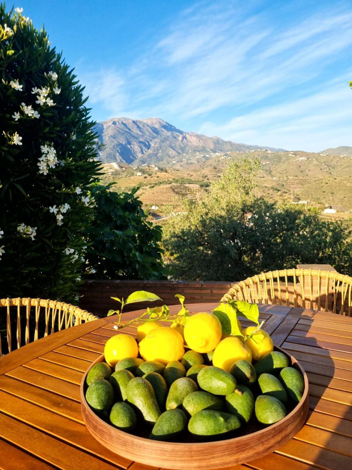 La Vista Vinuela Bed & Breakfast Luaran gambar