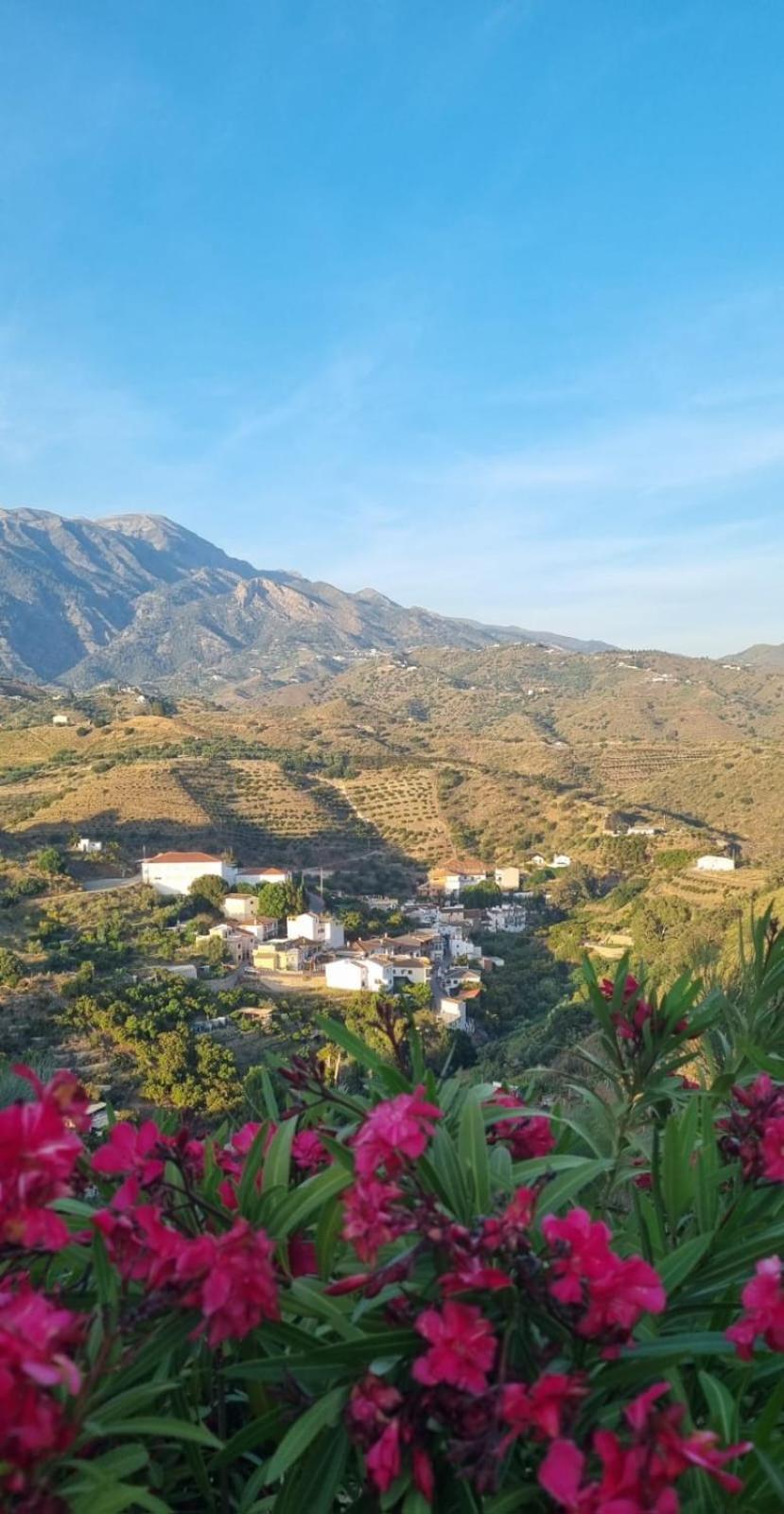 La Vista Vinuela Bed & Breakfast Luaran gambar